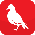 Dove
